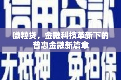 广灵微粒贷，金融科技革新下的普惠金融新篇章