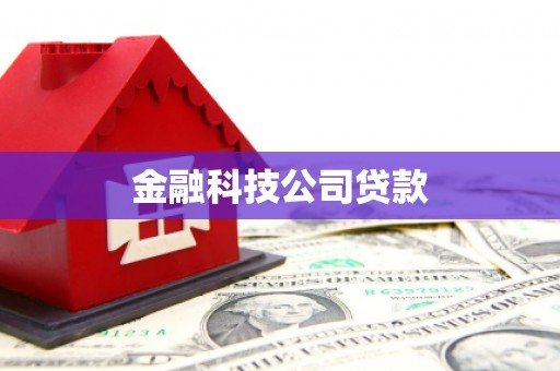 广灵金融科技公司贷款