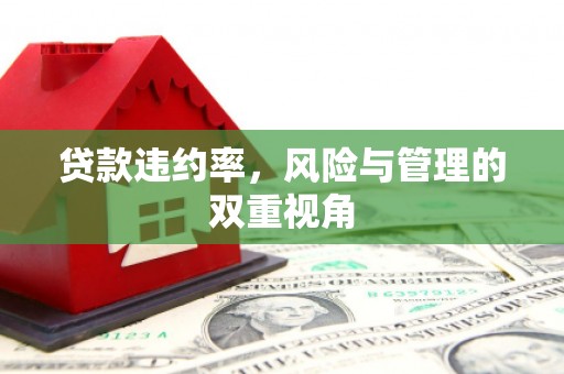 广灵贷款违约率，风险与管理的双重视角
