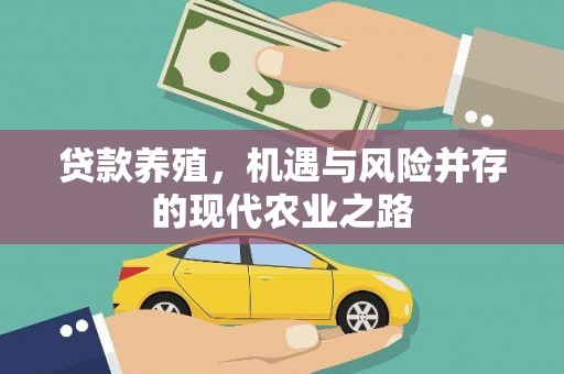 广灵贷款养殖，机遇与风险并存的现代农业之路