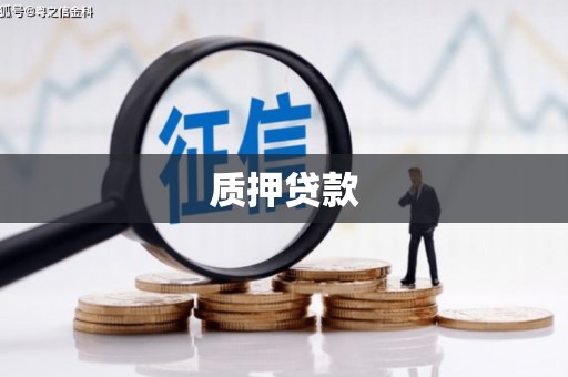 广灵质押贷款