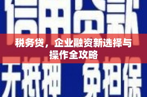 广灵税务贷，企业融资新选择与操作全攻略
