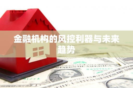 广灵金融机构的风控利器与未来趋势