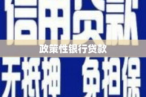 广灵政策性银行贷款
