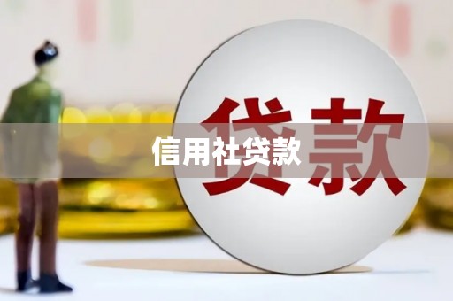 广灵信用社贷款