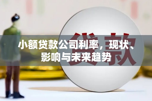 广灵小额贷款公司利率，现状、影响与未来趋势