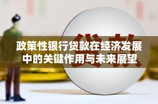 广灵政策性银行贷款在经济发展中的关键作用与未来展望