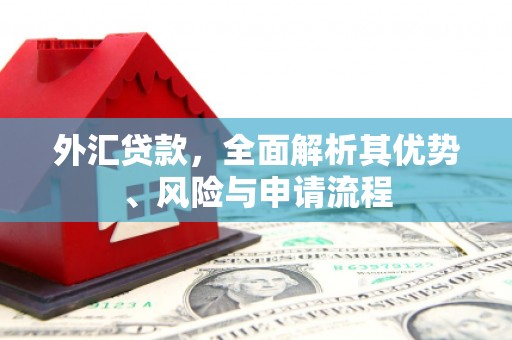 广灵外汇贷款，全面解析其优势、风险与申请流程