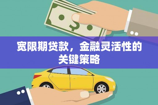 广灵宽限期贷款，金融灵活性的关键策略