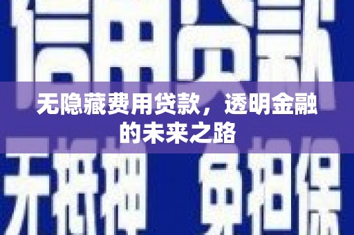 广灵无隐藏费用贷款，透明金融的未来之路