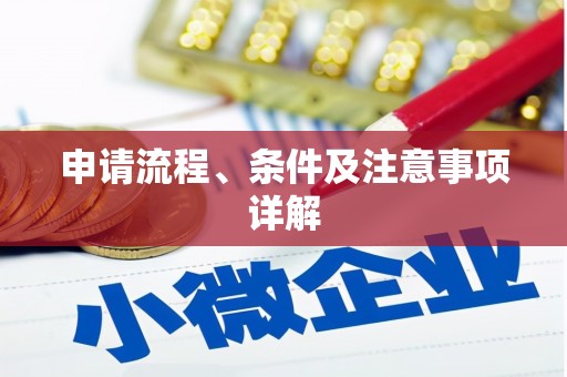 广灵申请流程、条件及注意事项详解