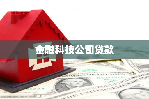 广灵金融科技公司贷款