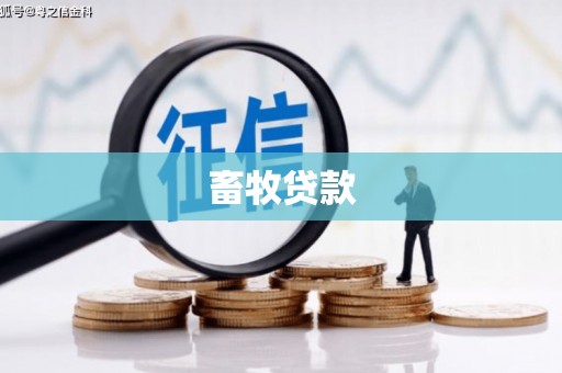 广灵畜牧贷款
