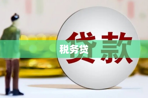 广灵税务贷