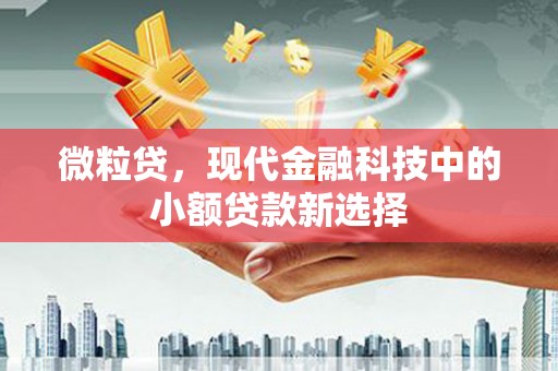 广灵微粒贷，现代金融科技中的小额贷款新选择