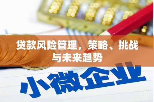 广灵贷款风险管理，策略、挑战与未来趋势