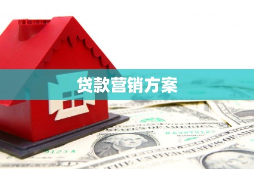 广灵贷款营销方案