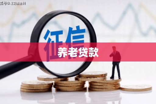 广灵养老贷款
