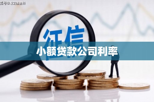 广灵小额贷款公司利率