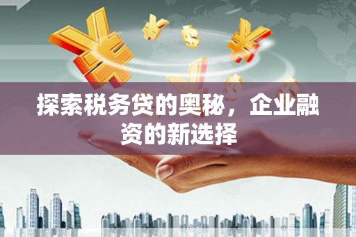 广灵探索税务贷的奥秘，企业融资的新选择