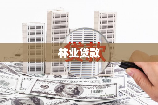 广灵林业贷款