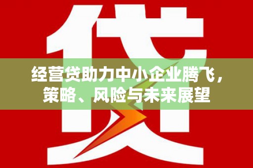 广灵经营贷助力中小企业腾飞，策略、风险与未来展望