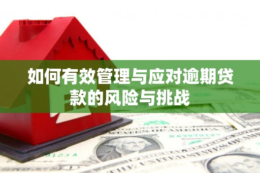 广灵如何有效管理与应对逾期贷款的风险与挑战