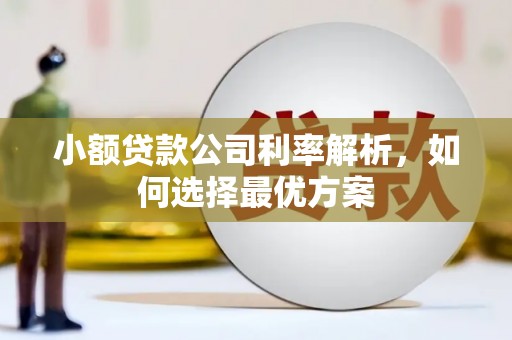 广灵小额贷款公司利率解析，如何选择最优方案