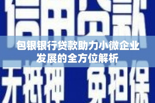 广灵包银银行贷款助力小微企业发展的全方位解析