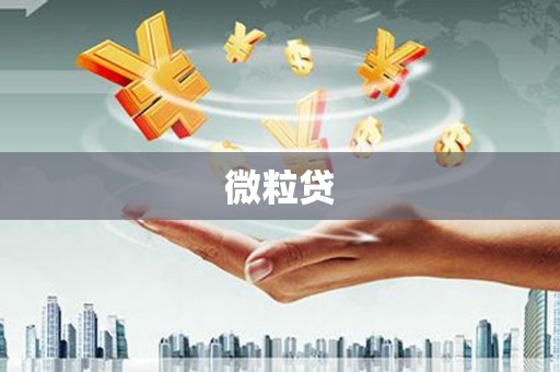 广灵微粒贷