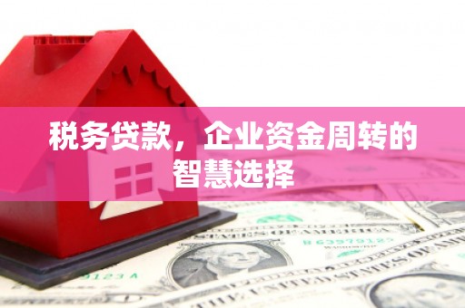广灵税务贷款，企业资金周转的智慧选择