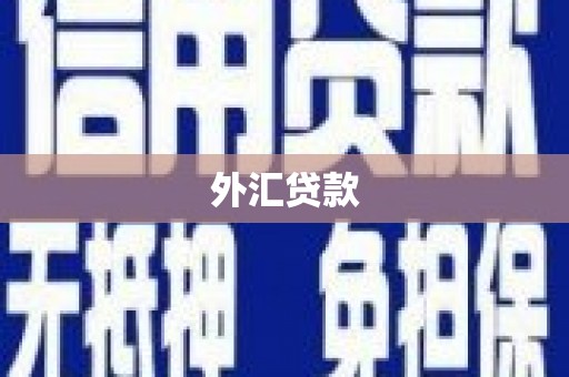 广灵外汇贷款