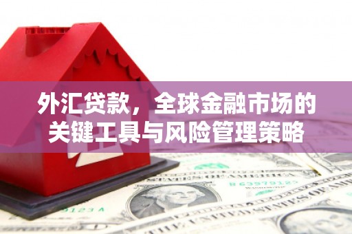 广灵外汇贷款，全球金融市场的关键工具与风险管理策略
