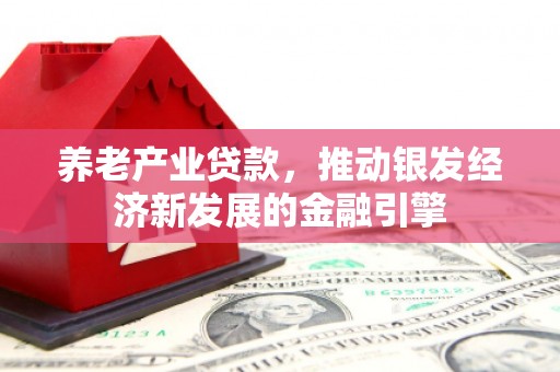 广灵养老产业贷款，推动银发经济新发展的金融引擎