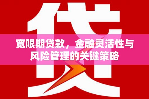 广灵宽限期贷款，金融灵活性与风险管理的关键策略