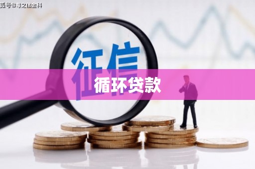 广灵循环贷款