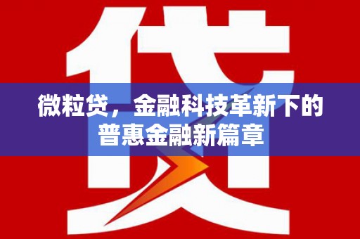 广灵微粒贷，金融科技革新下的普惠金融新篇章