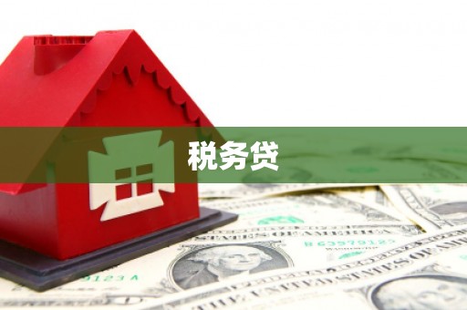 广灵税务贷