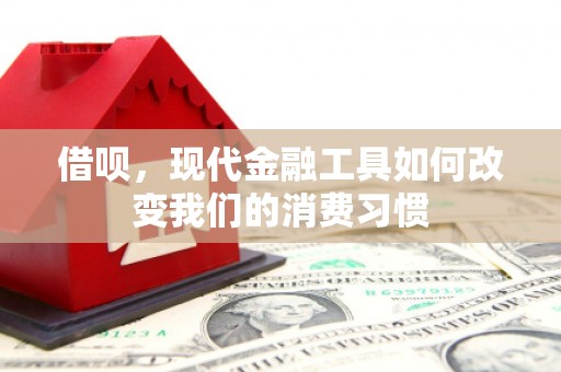 广灵借呗，现代金融工具如何改变我们的消费习惯