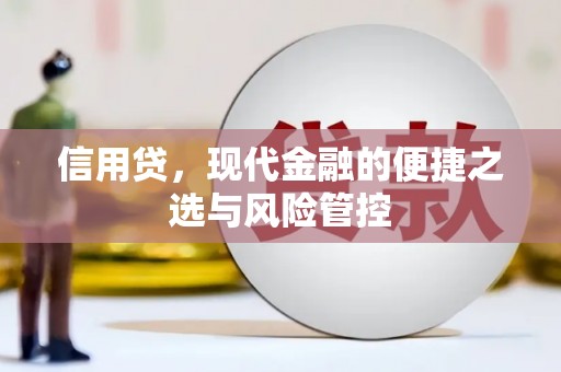 广灵信用贷，现代金融的便捷之选与风险管控