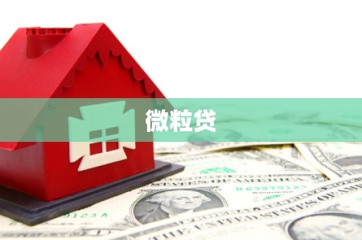 广灵微粒贷