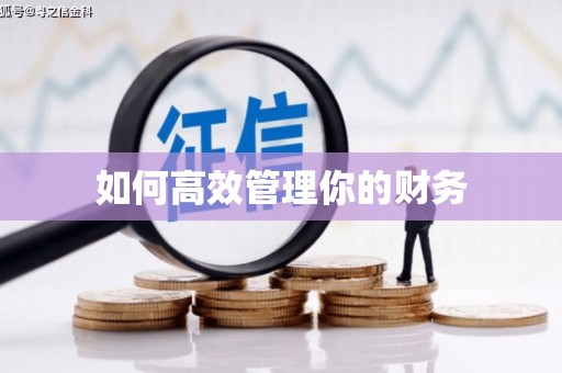 广灵如何高效管理你的财务