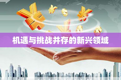 广灵机遇与挑战并存的新兴领域