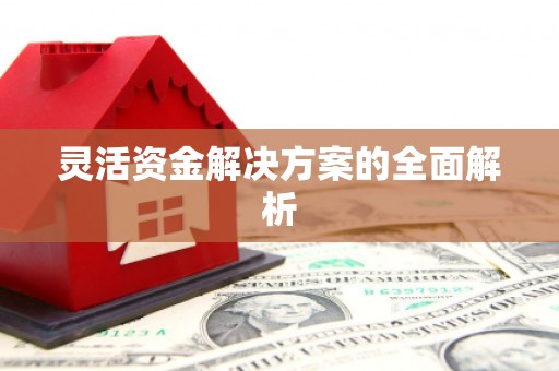 广灵灵活资金解决方案的全面解析
