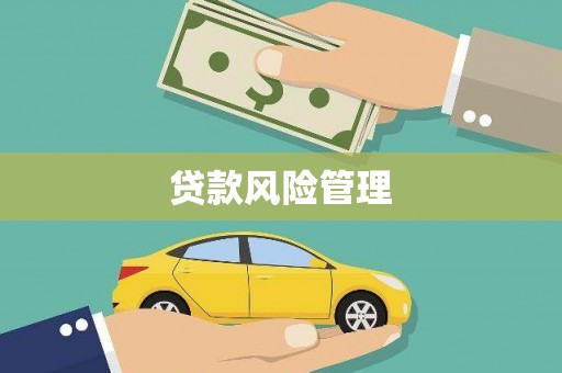 广灵贷款风险管理