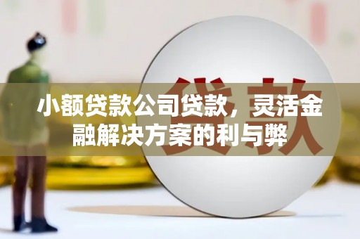 广灵小额贷款公司贷款，灵活金融解决方案的利与弊